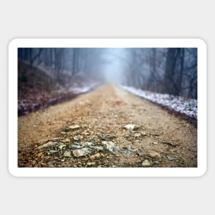 Foggy road in the forest Sticker